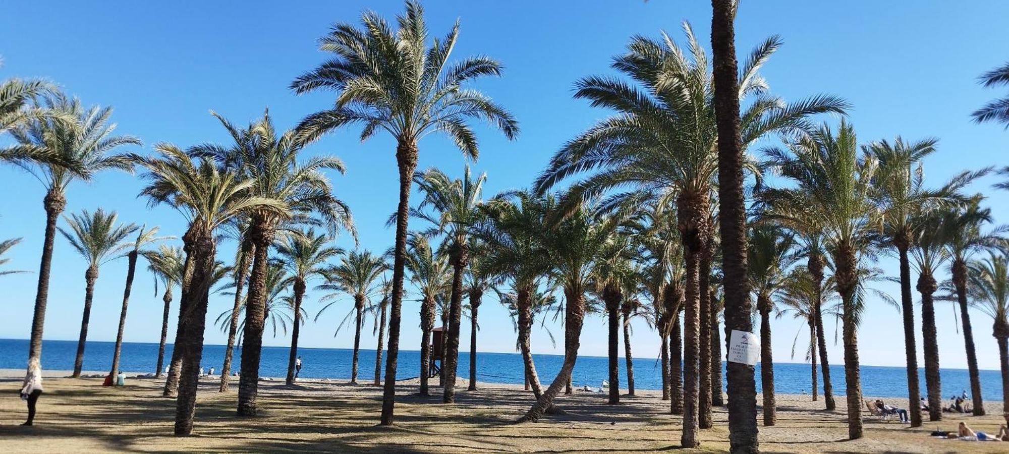 Torremolinos:Appartement Avec Piscine Et Terrasse Bagian luar foto